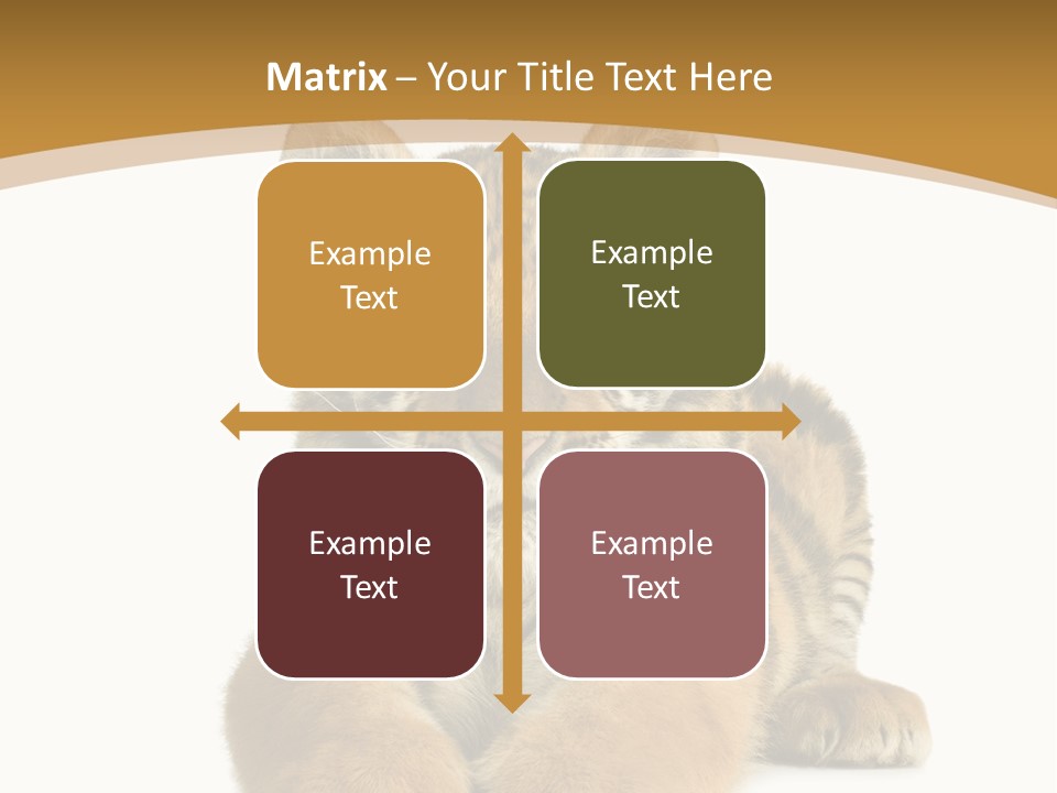 Polar Zoo Dangerous PowerPoint Template