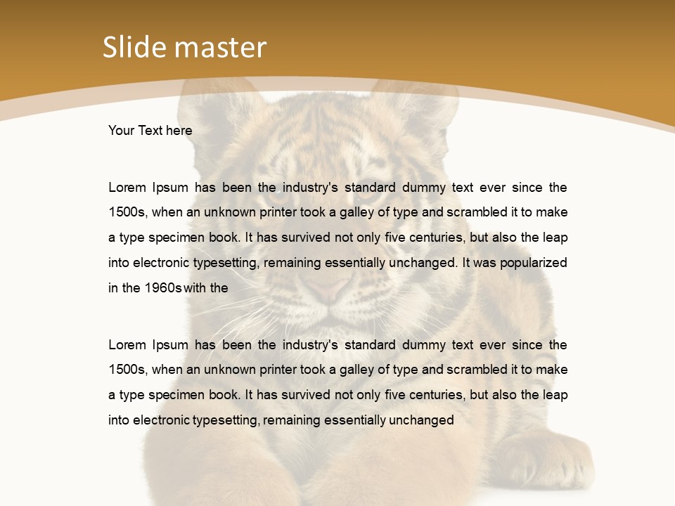 Polar Zoo Dangerous PowerPoint Template