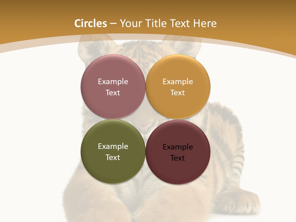 Polar Zoo Dangerous PowerPoint Template