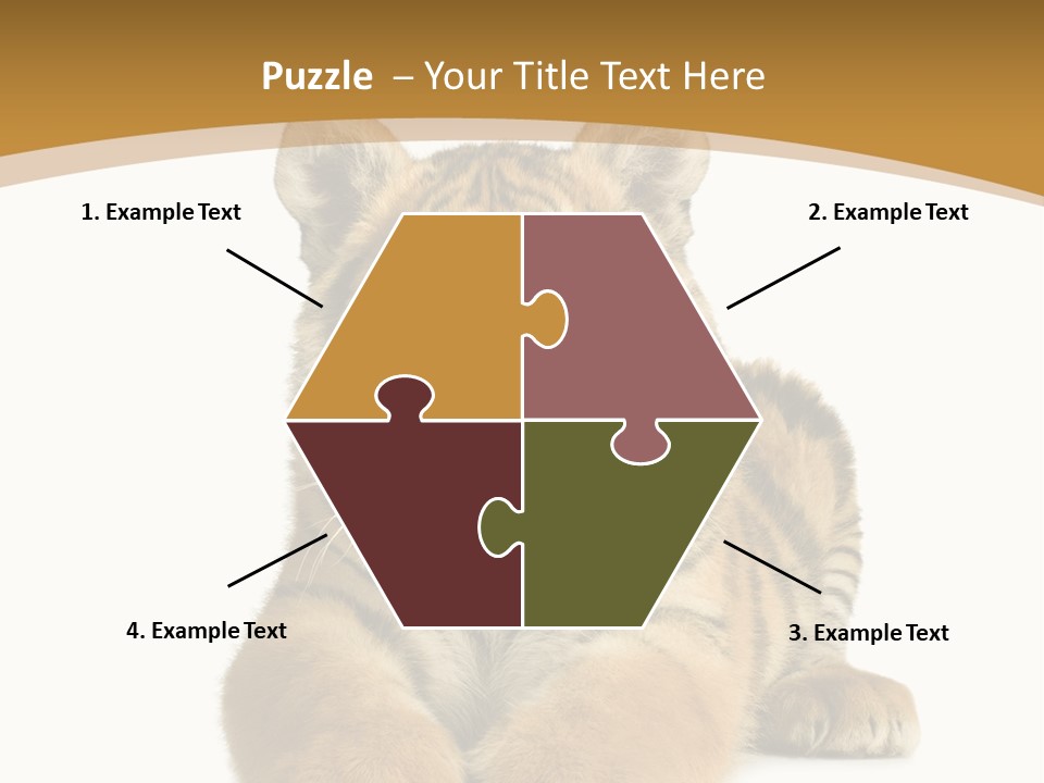 Polar Zoo Dangerous PowerPoint Template