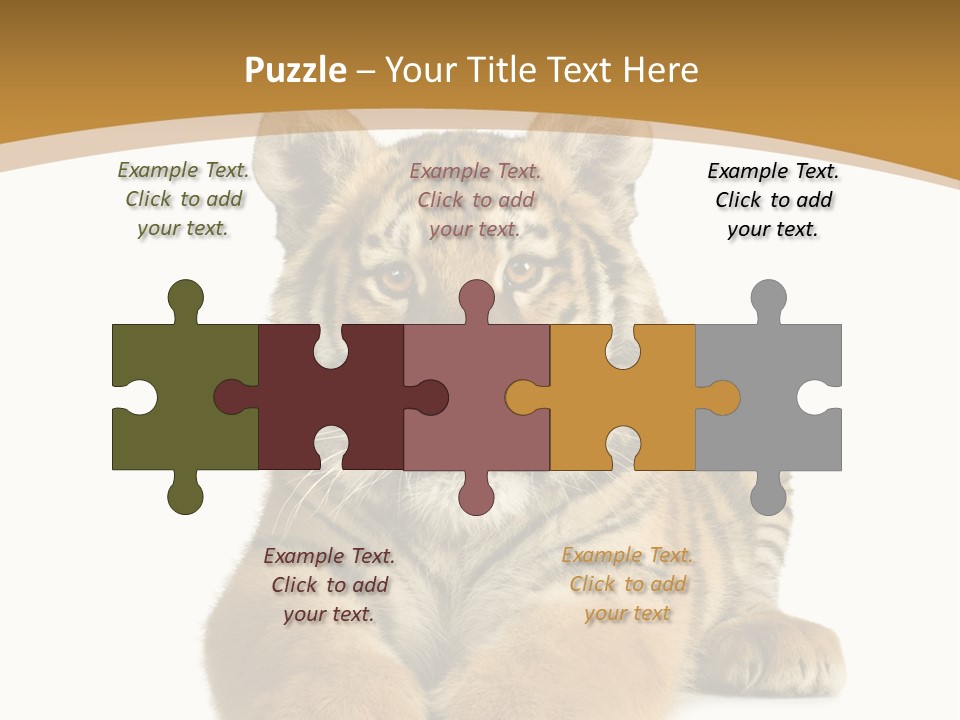 Polar Zoo Dangerous PowerPoint Template