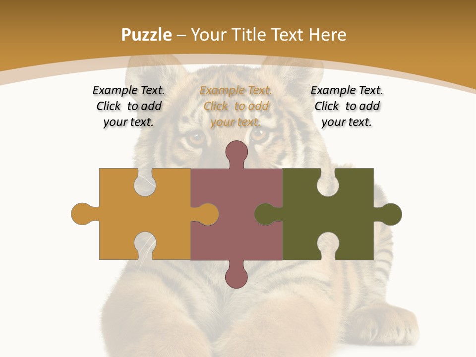 Polar Zoo Dangerous PowerPoint Template