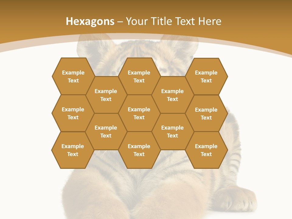 Polar Zoo Dangerous PowerPoint Template