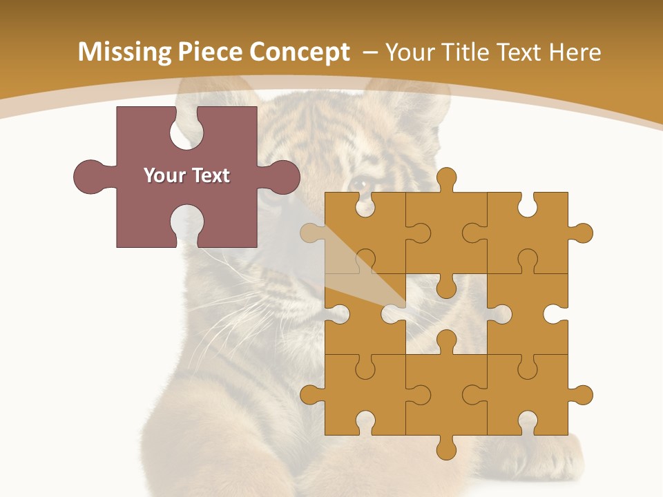 Polar Zoo Dangerous PowerPoint Template