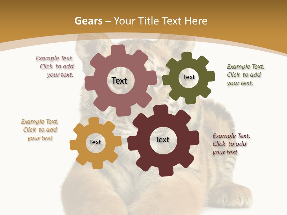 Polar Zoo Dangerous PowerPoint Template