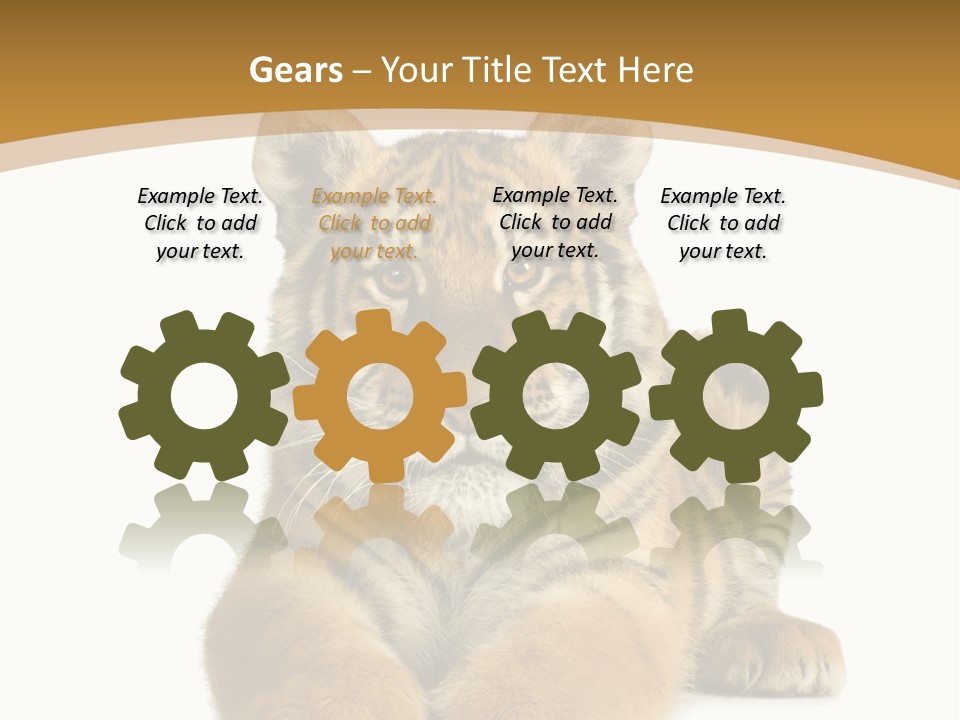 Polar Zoo Dangerous PowerPoint Template