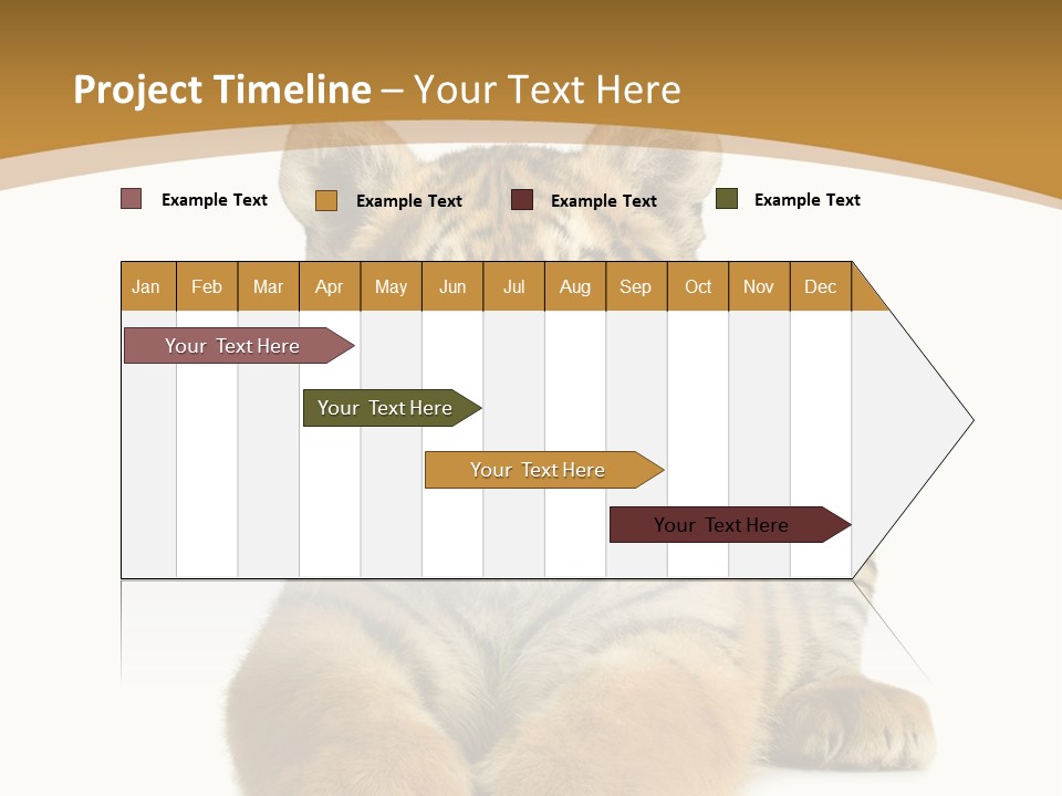 Polar Zoo Dangerous PowerPoint Template