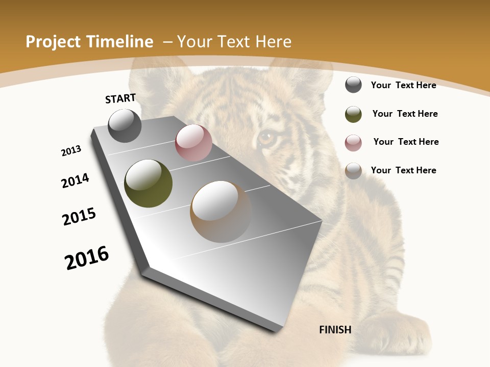 Polar Zoo Dangerous PowerPoint Template