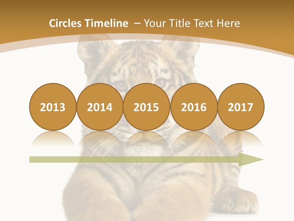 Polar Zoo Dangerous PowerPoint Template