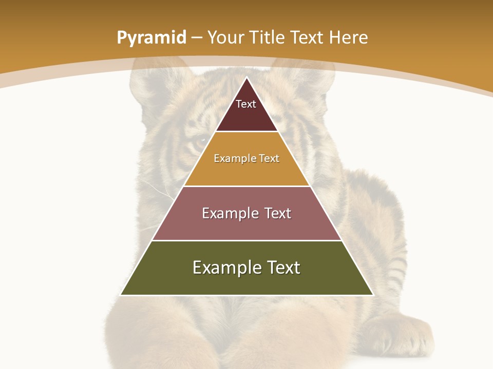 Polar Zoo Dangerous PowerPoint Template