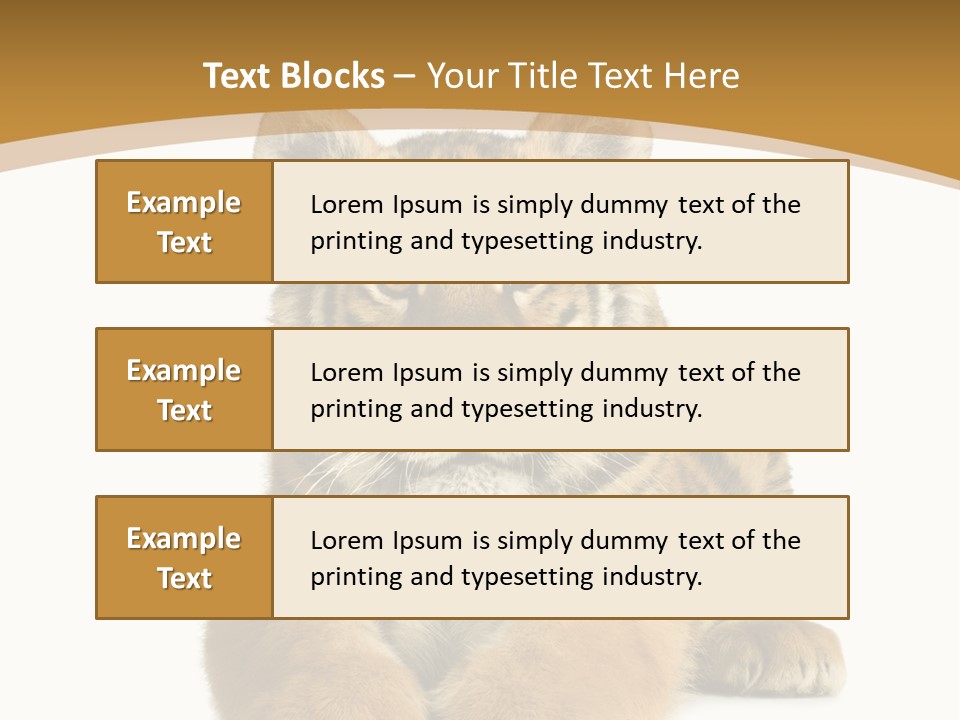 Polar Zoo Dangerous PowerPoint Template
