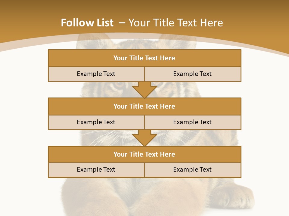 Polar Zoo Dangerous PowerPoint Template