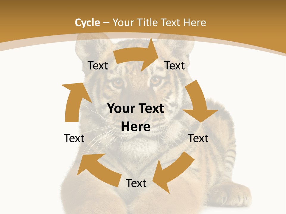 Polar Zoo Dangerous PowerPoint Template