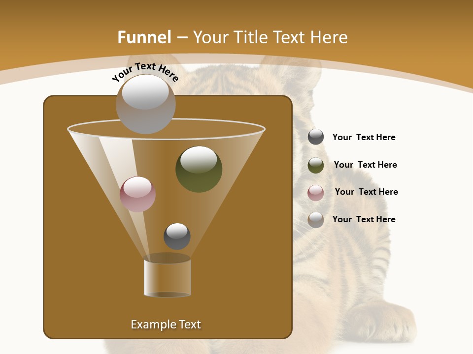 Polar Zoo Dangerous PowerPoint Template