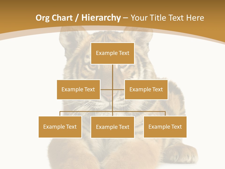 Polar Zoo Dangerous PowerPoint Template