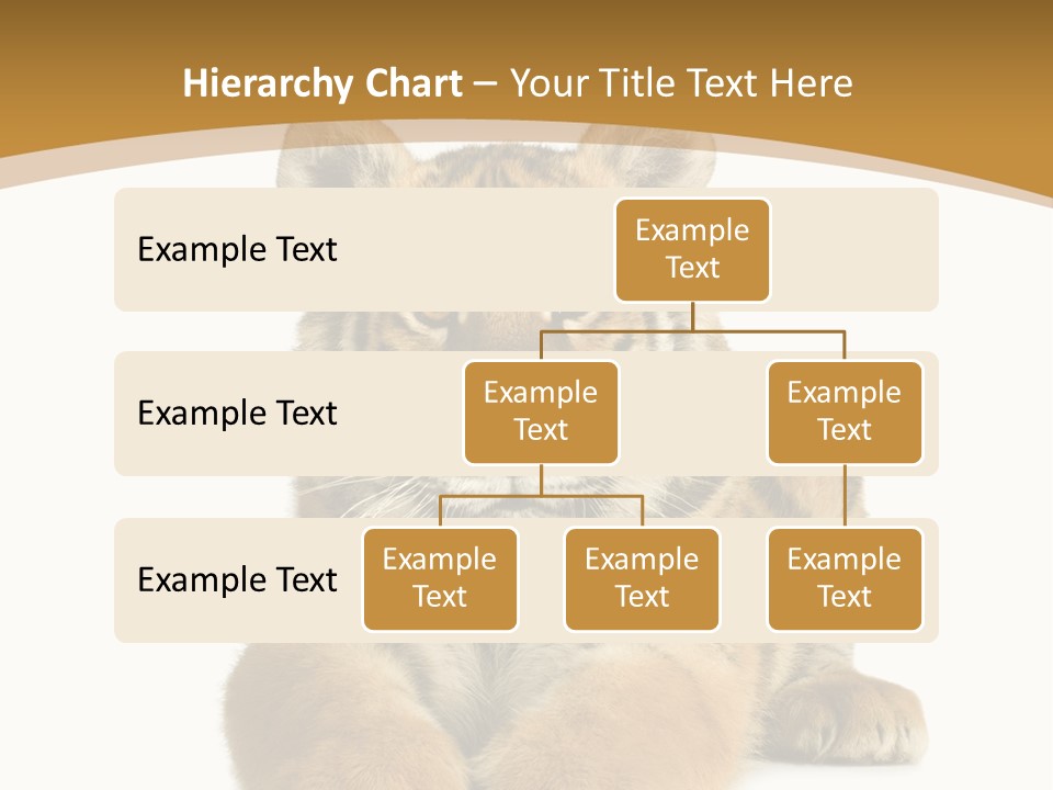 Polar Zoo Dangerous PowerPoint Template
