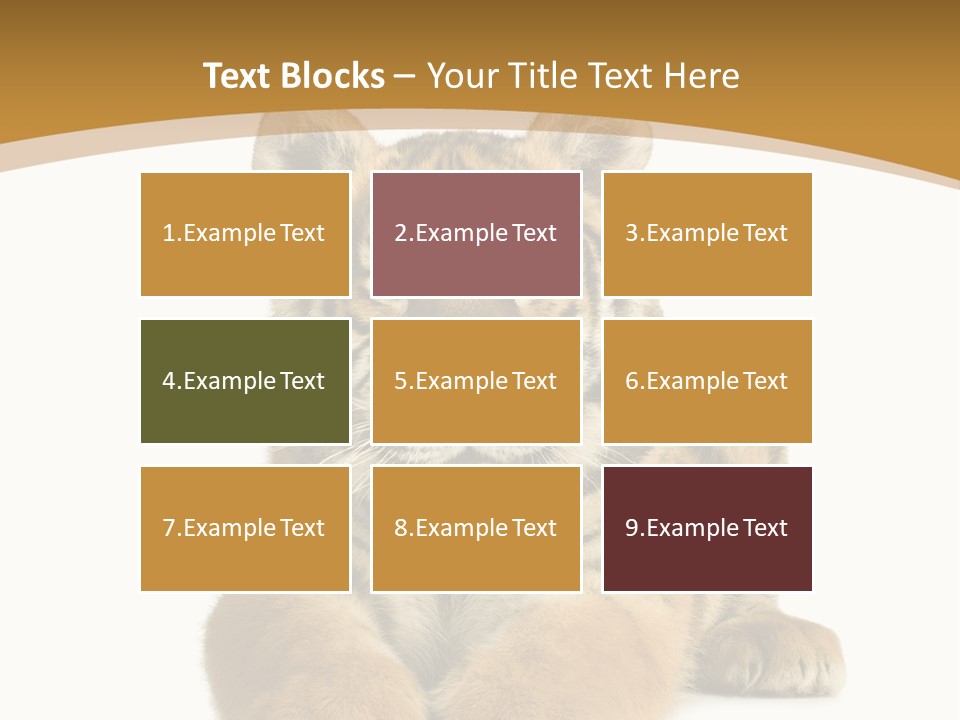 Polar Zoo Dangerous PowerPoint Template