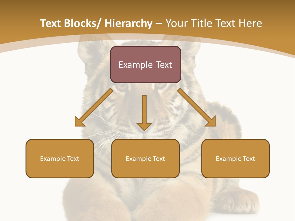 Polar Zoo Dangerous PowerPoint Template