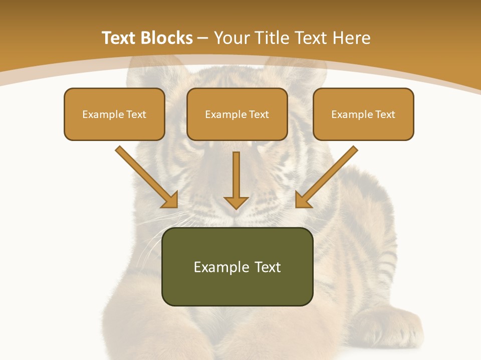 Polar Zoo Dangerous PowerPoint Template