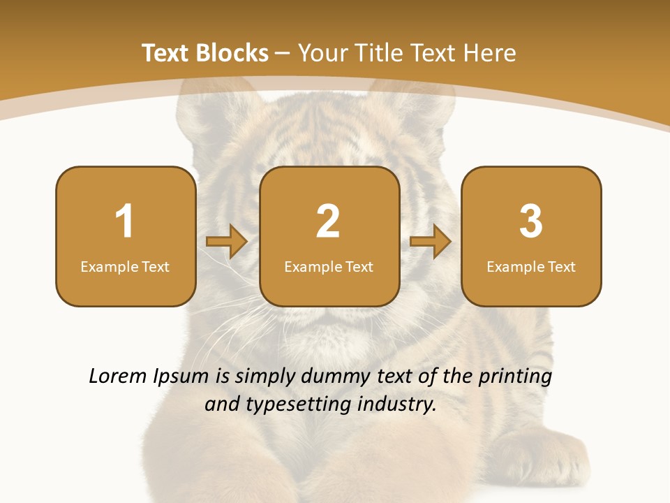 Polar Zoo Dangerous PowerPoint Template