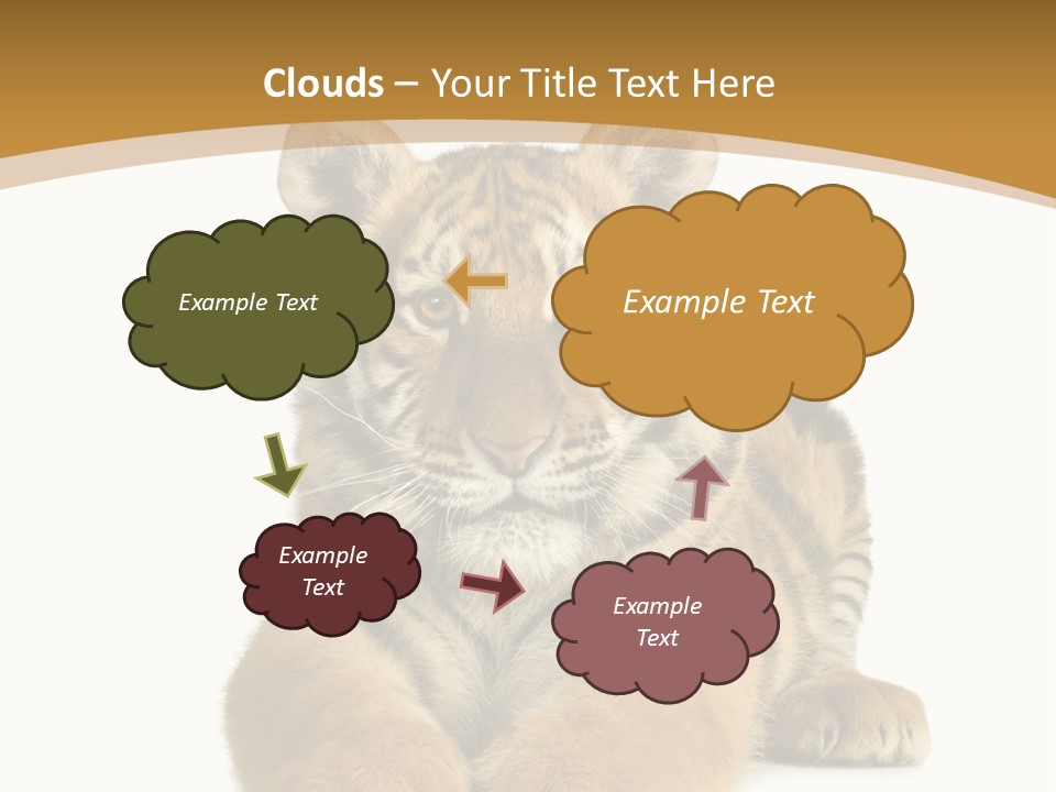 Polar Zoo Dangerous PowerPoint Template