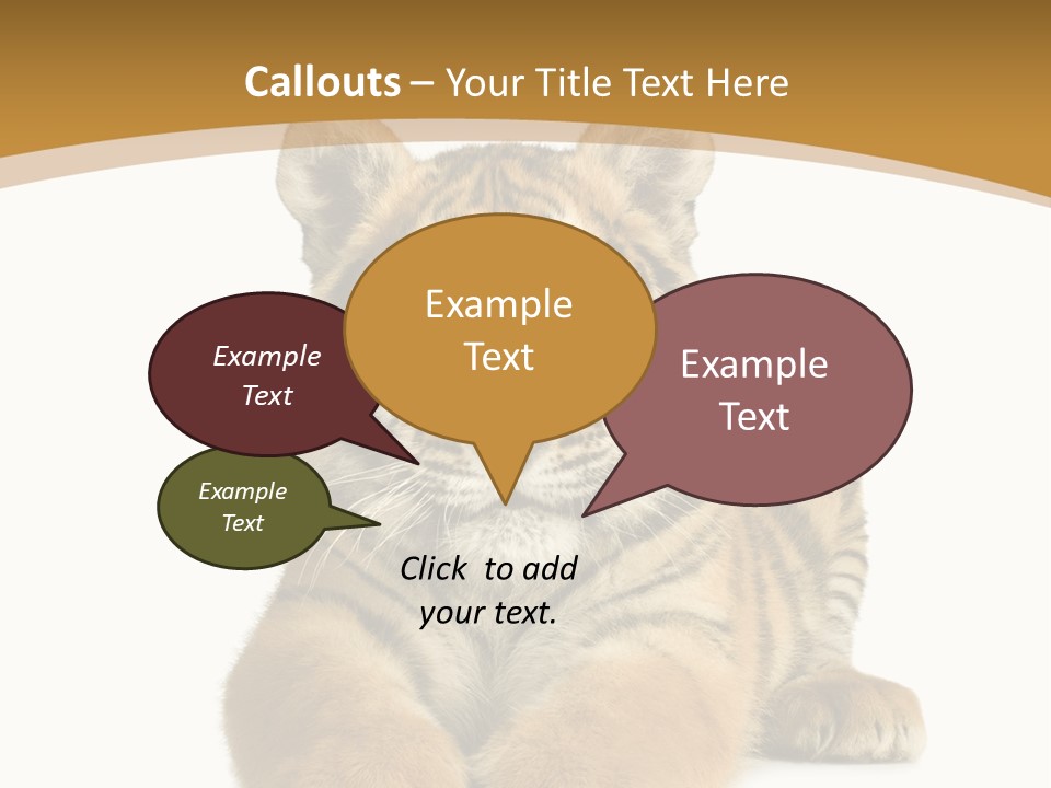 Polar Zoo Dangerous PowerPoint Template