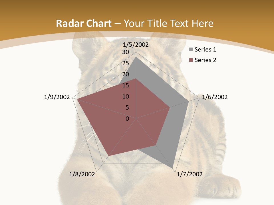 Polar Zoo Dangerous PowerPoint Template