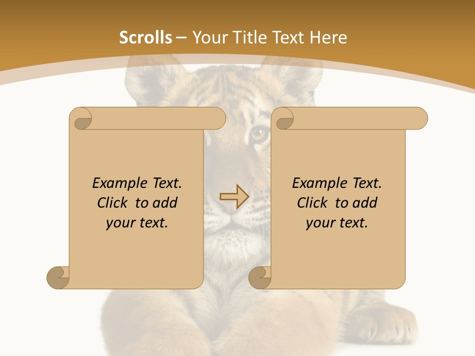 Polar Zoo Dangerous PowerPoint Template