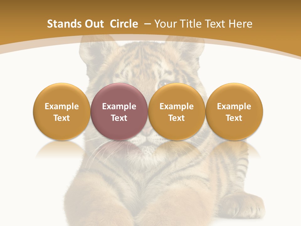 Polar Zoo Dangerous PowerPoint Template