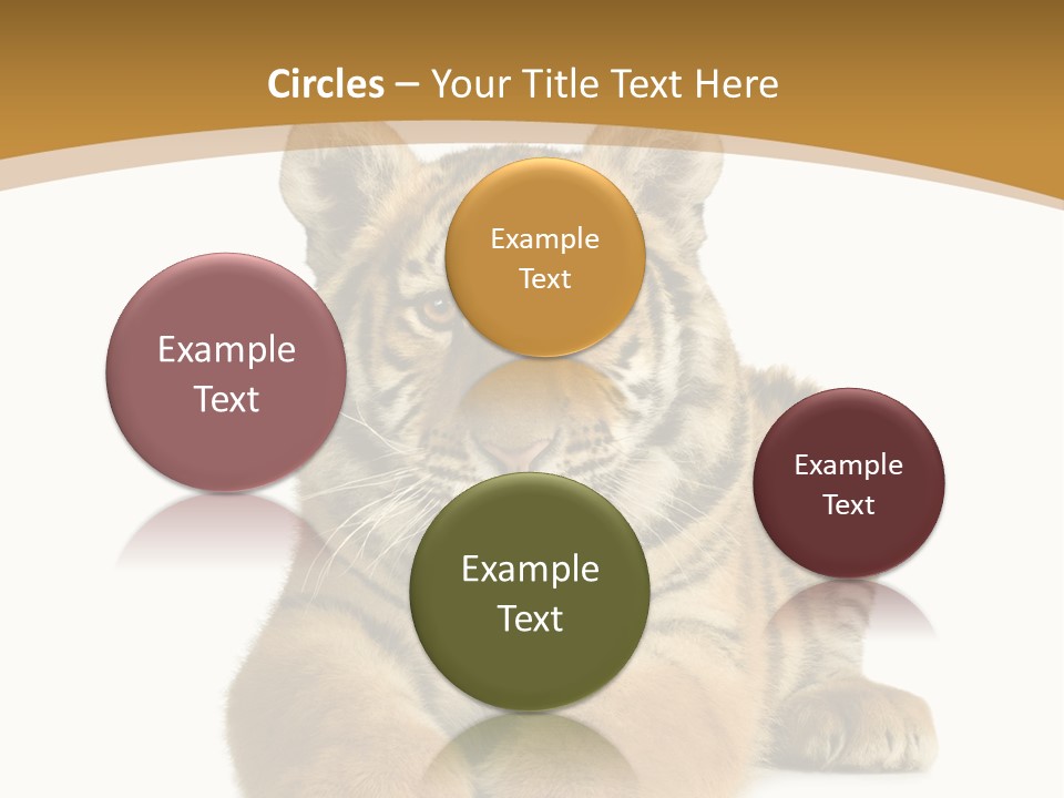 Polar Zoo Dangerous PowerPoint Template