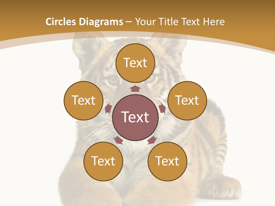 Polar Zoo Dangerous PowerPoint Template