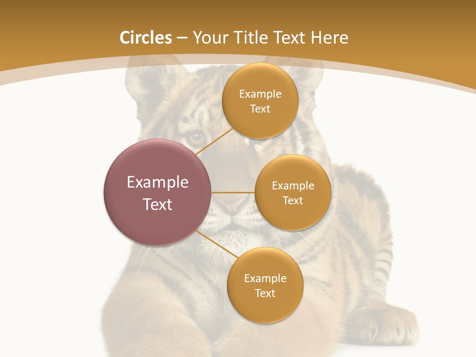 Polar Zoo Dangerous PowerPoint Template