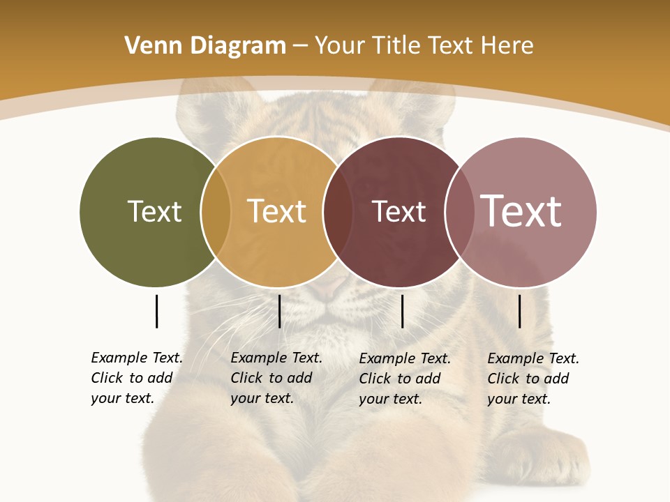 Polar Zoo Dangerous PowerPoint Template