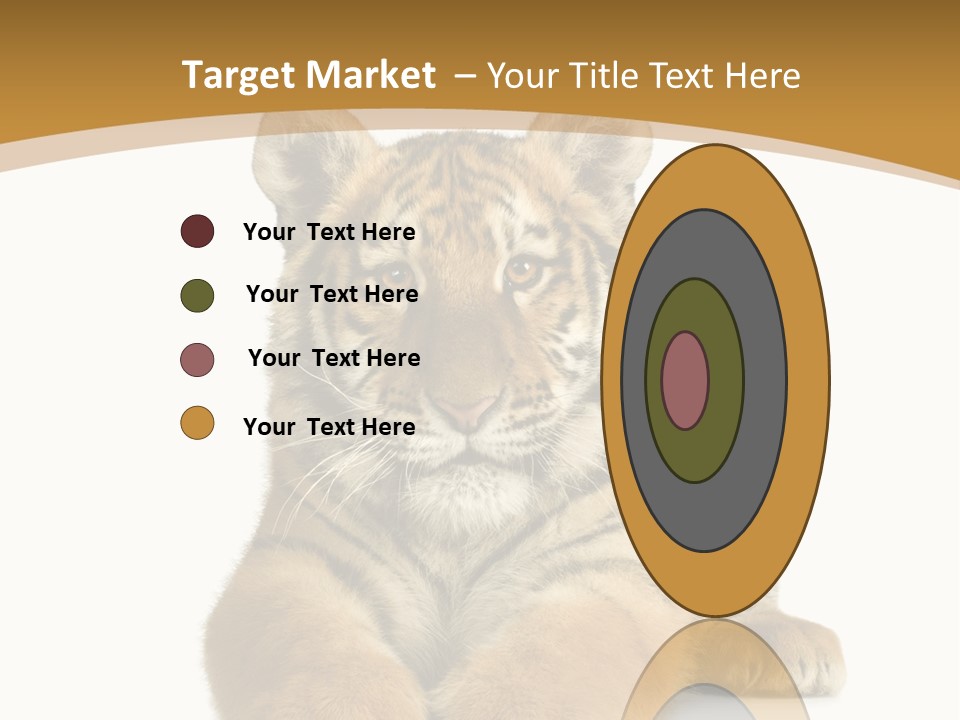 Polar Zoo Dangerous PowerPoint Template