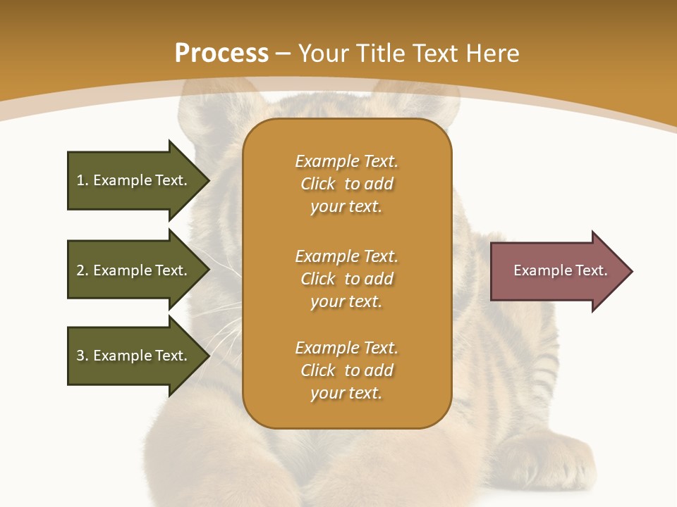 Polar Zoo Dangerous PowerPoint Template