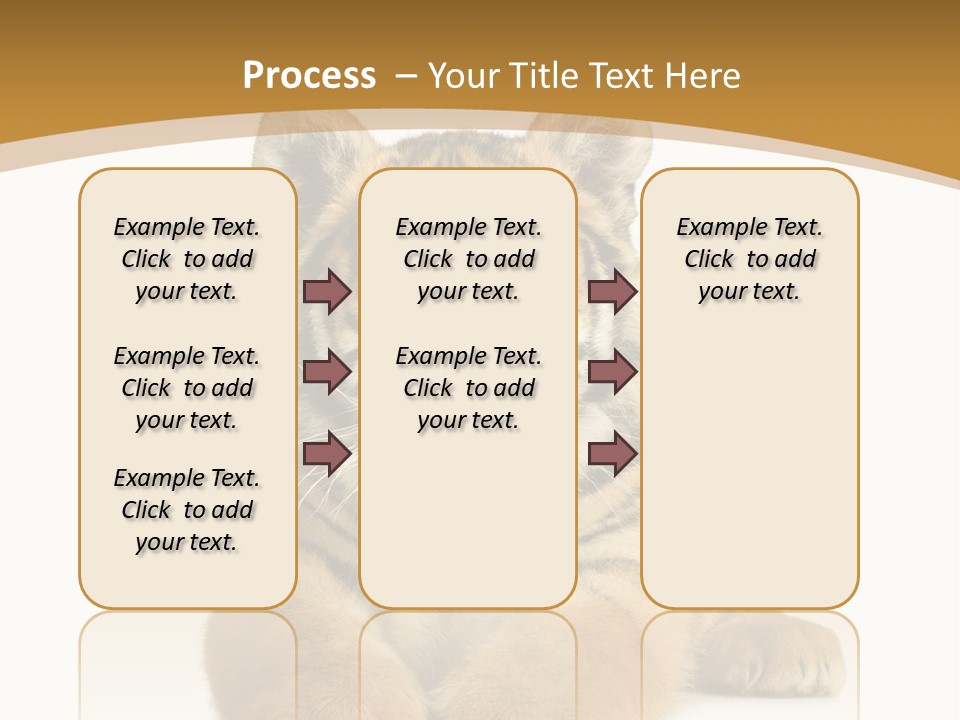 Polar Zoo Dangerous PowerPoint Template