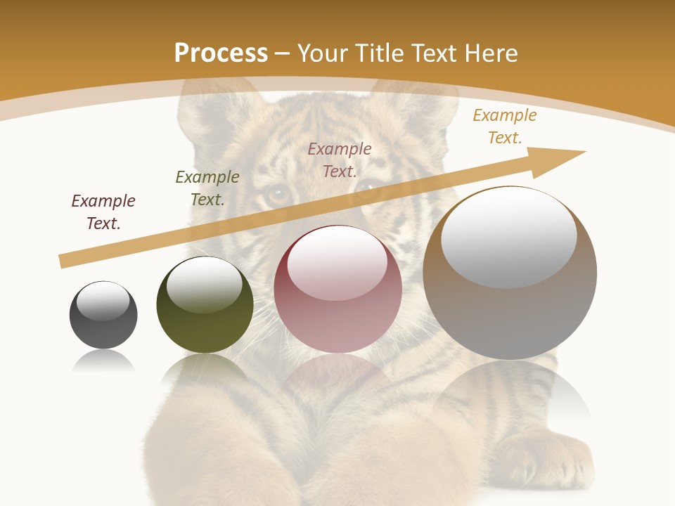 Polar Zoo Dangerous PowerPoint Template