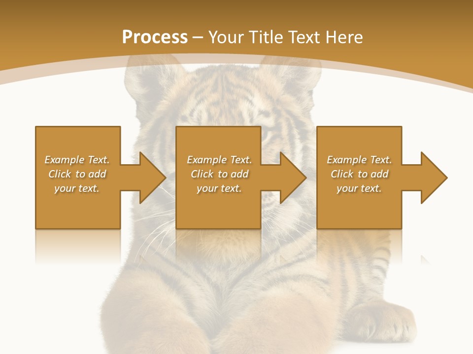 Polar Zoo Dangerous PowerPoint Template