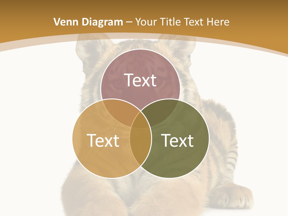 Polar Zoo Dangerous PowerPoint Template