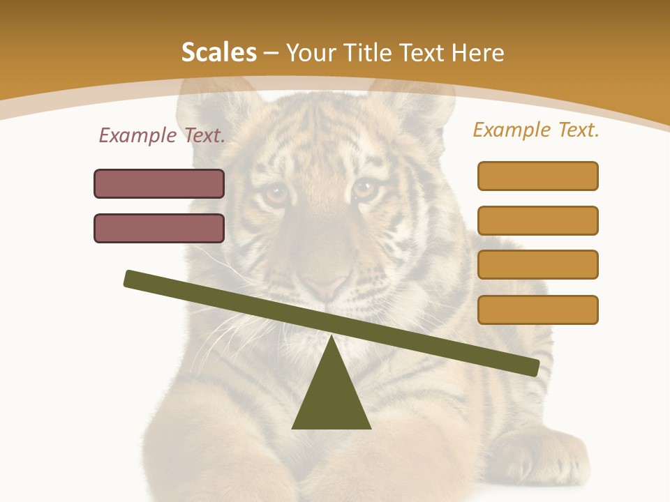 Polar Zoo Dangerous PowerPoint Template