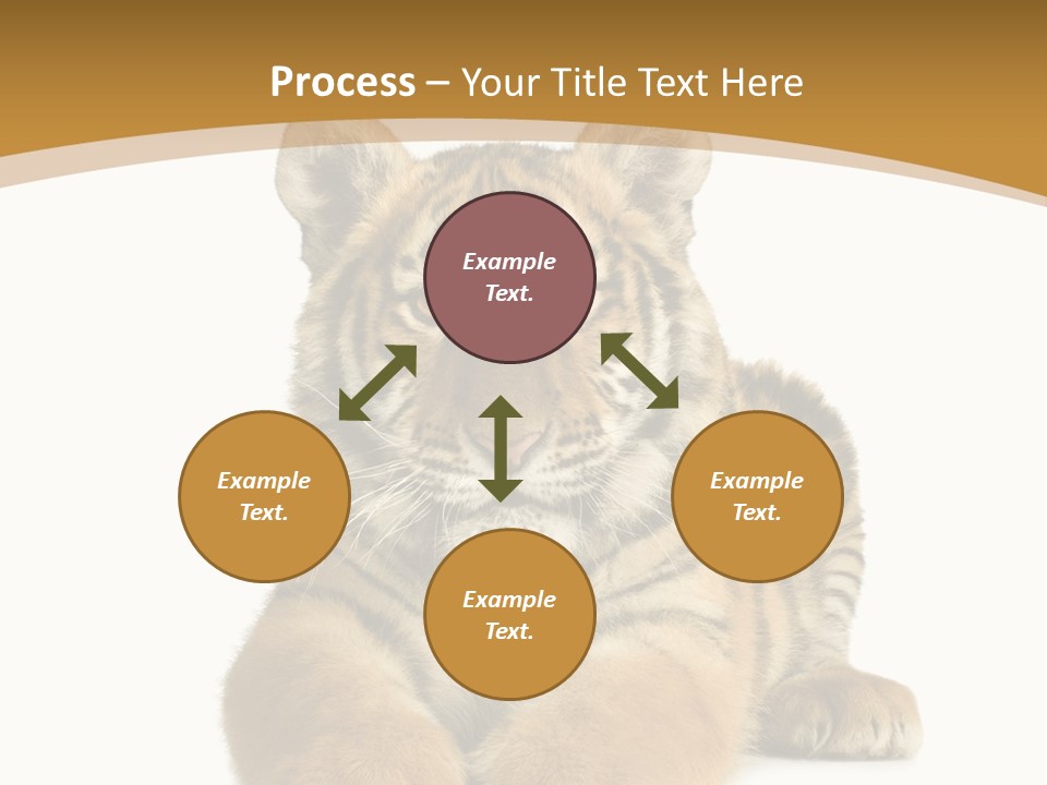 Polar Zoo Dangerous PowerPoint Template