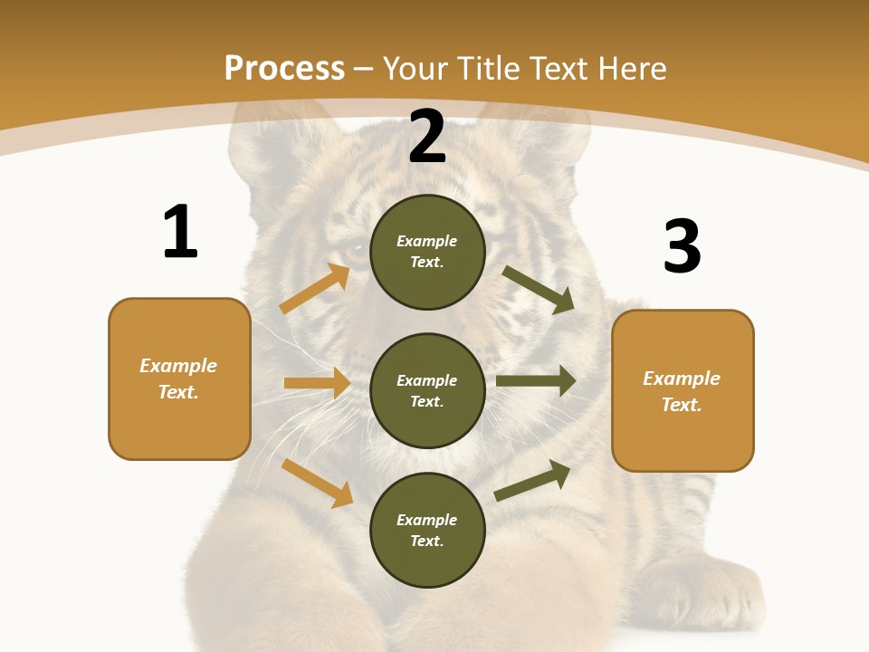 Polar Zoo Dangerous PowerPoint Template