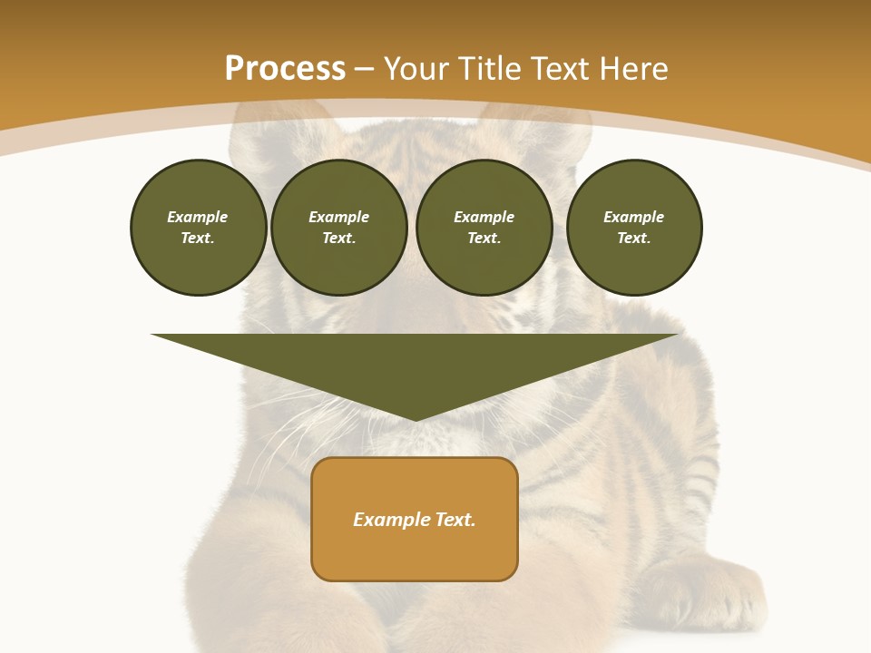 Polar Zoo Dangerous PowerPoint Template