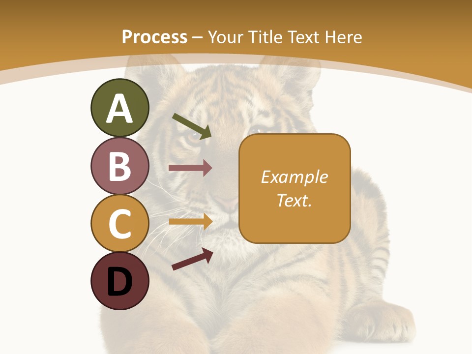 Polar Zoo Dangerous PowerPoint Template