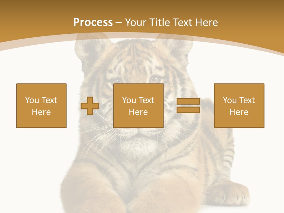 Polar Zoo Dangerous PowerPoint Template