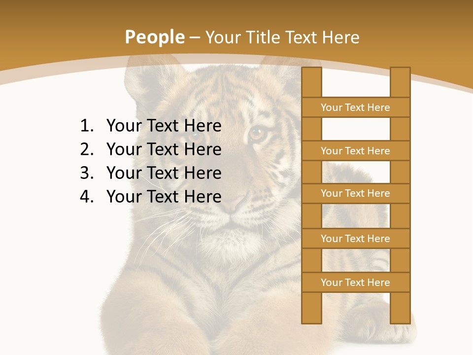 Polar Zoo Dangerous PowerPoint Template