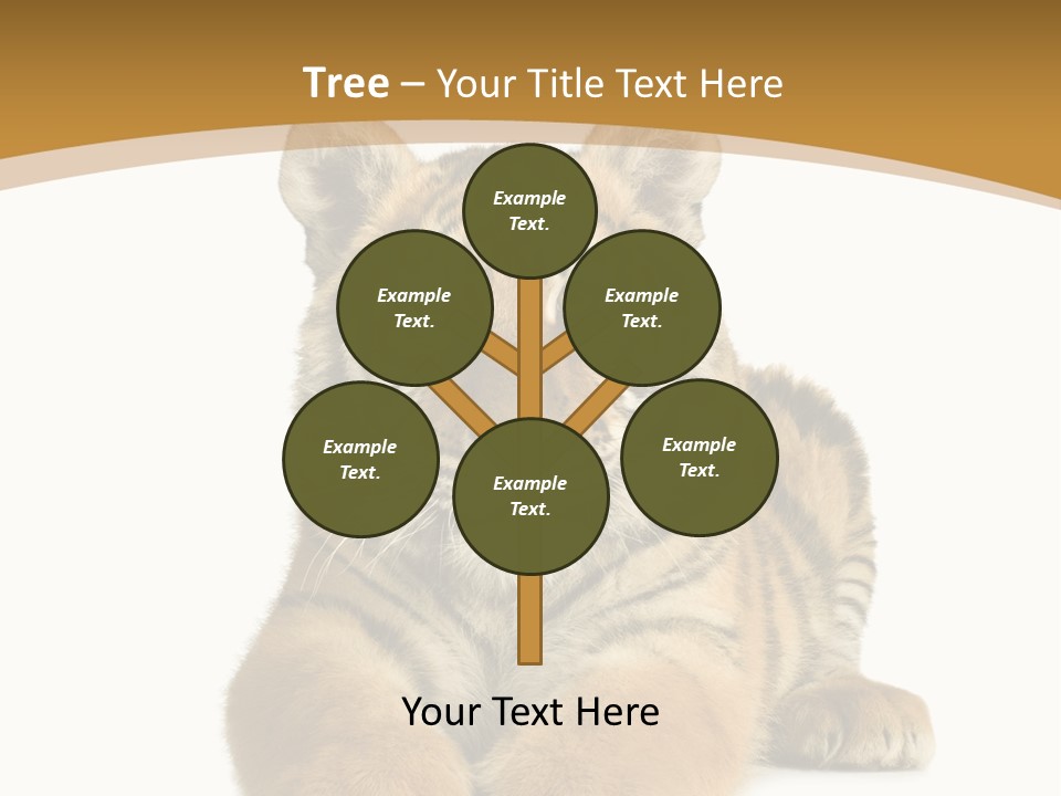 Polar Zoo Dangerous PowerPoint Template