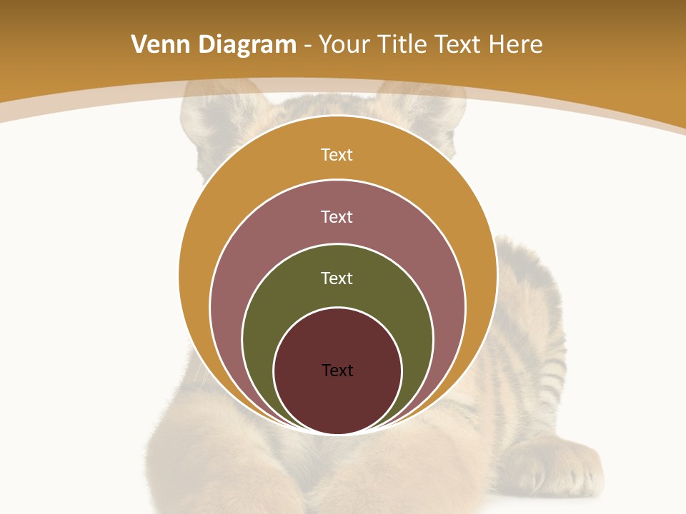Polar Zoo Dangerous PowerPoint Template
