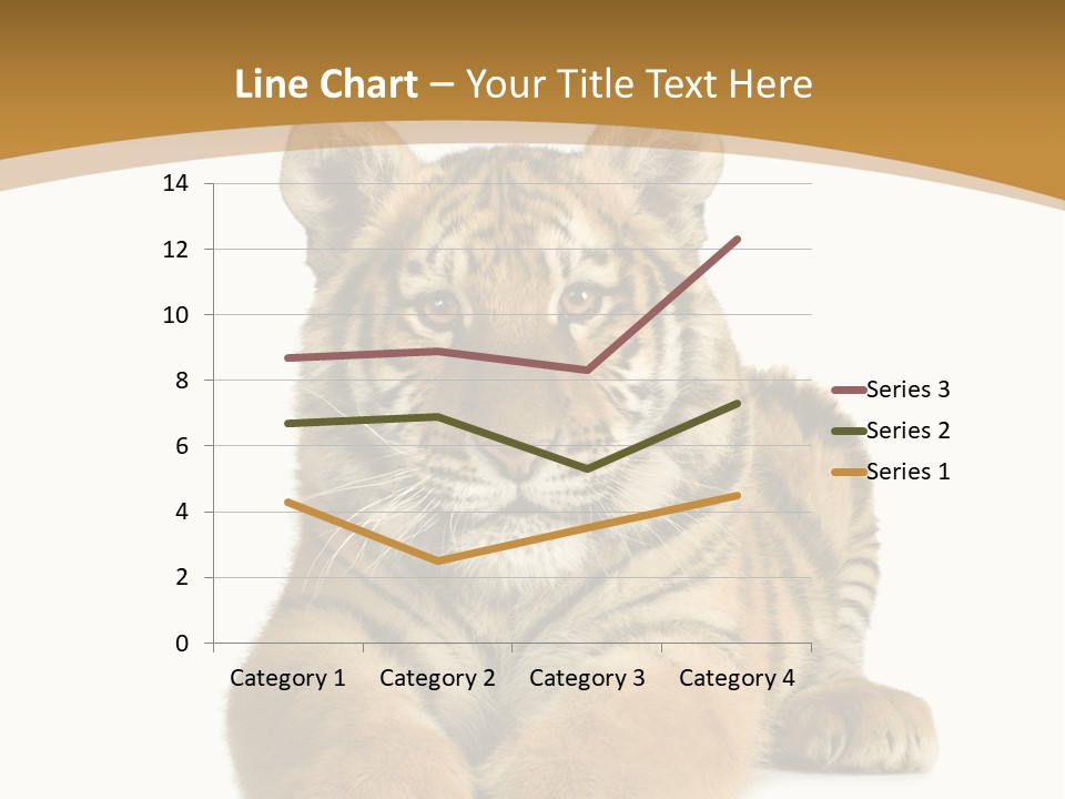 Polar Zoo Dangerous PowerPoint Template