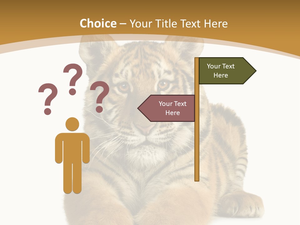 Polar Zoo Dangerous PowerPoint Template